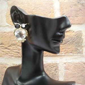 Owl Elegant Black & Clear Earrings